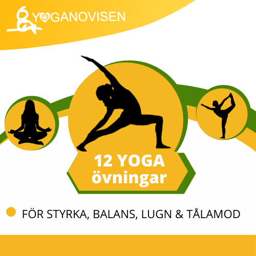 12 Yogaövningar