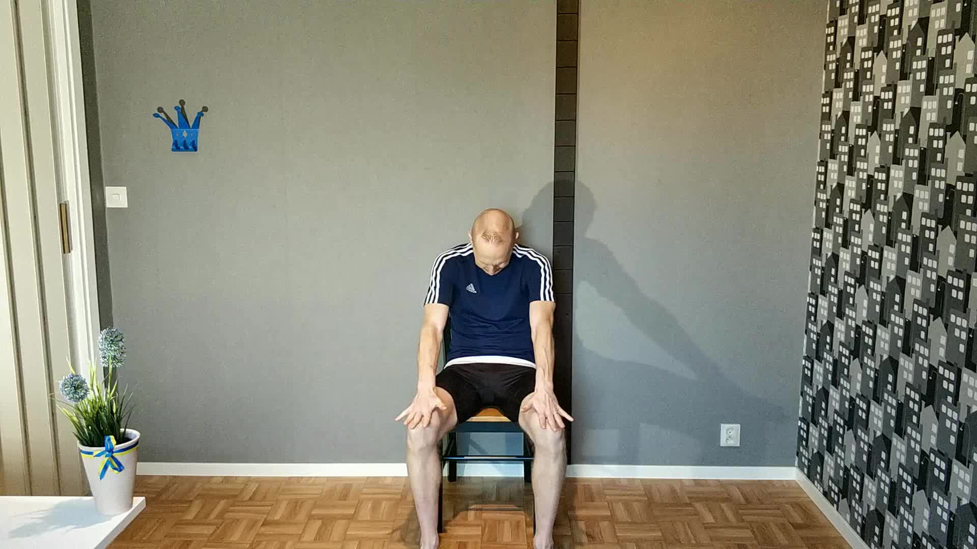 Yoga Senior - Katten & Kon